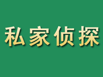 静海市私家正规侦探